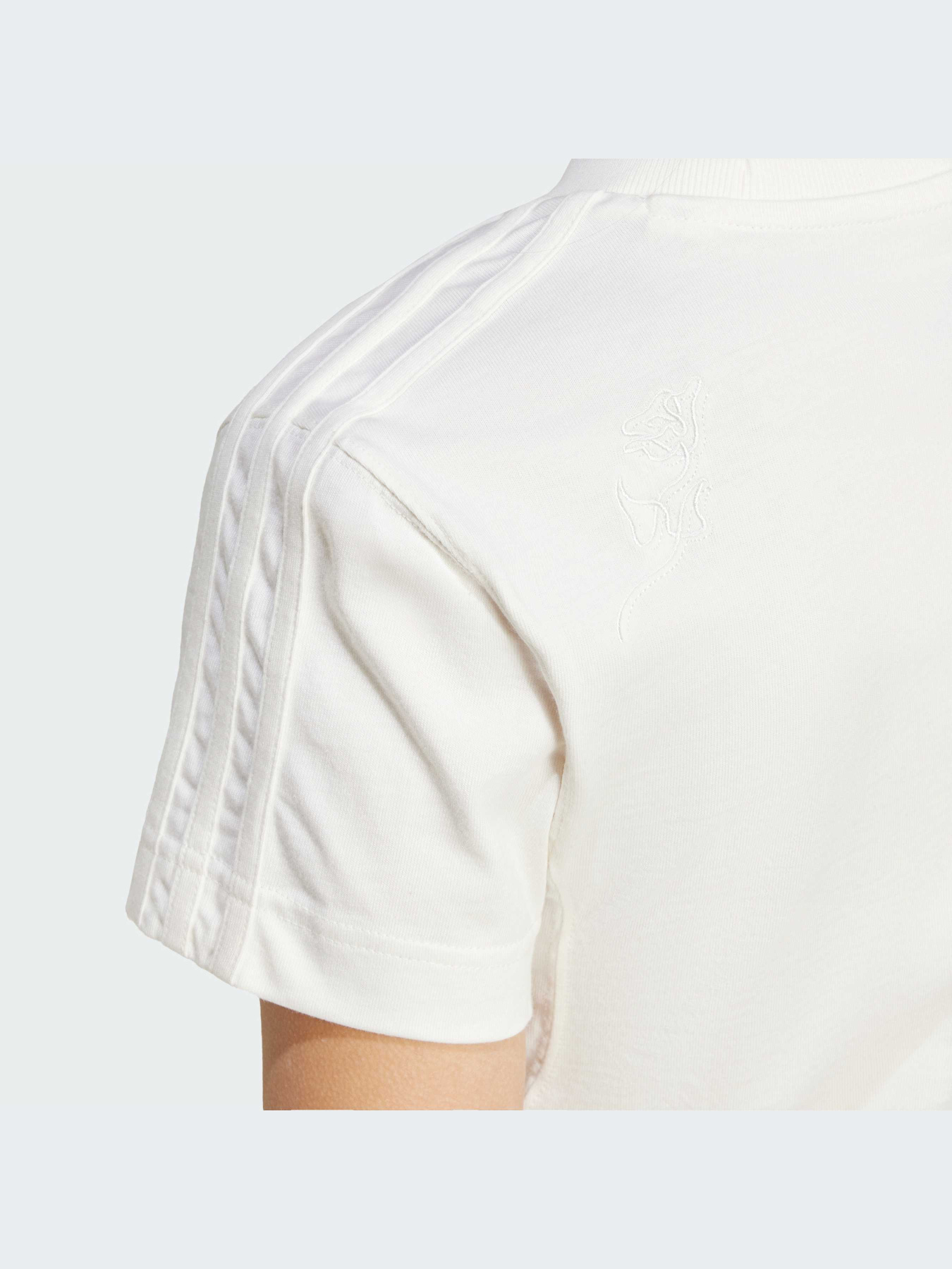 Футболка Adidas модель IW1133 Фото