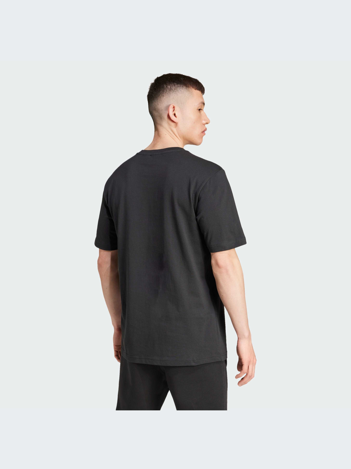 Футболка Adidas Graphics модель IZ2578 Фото