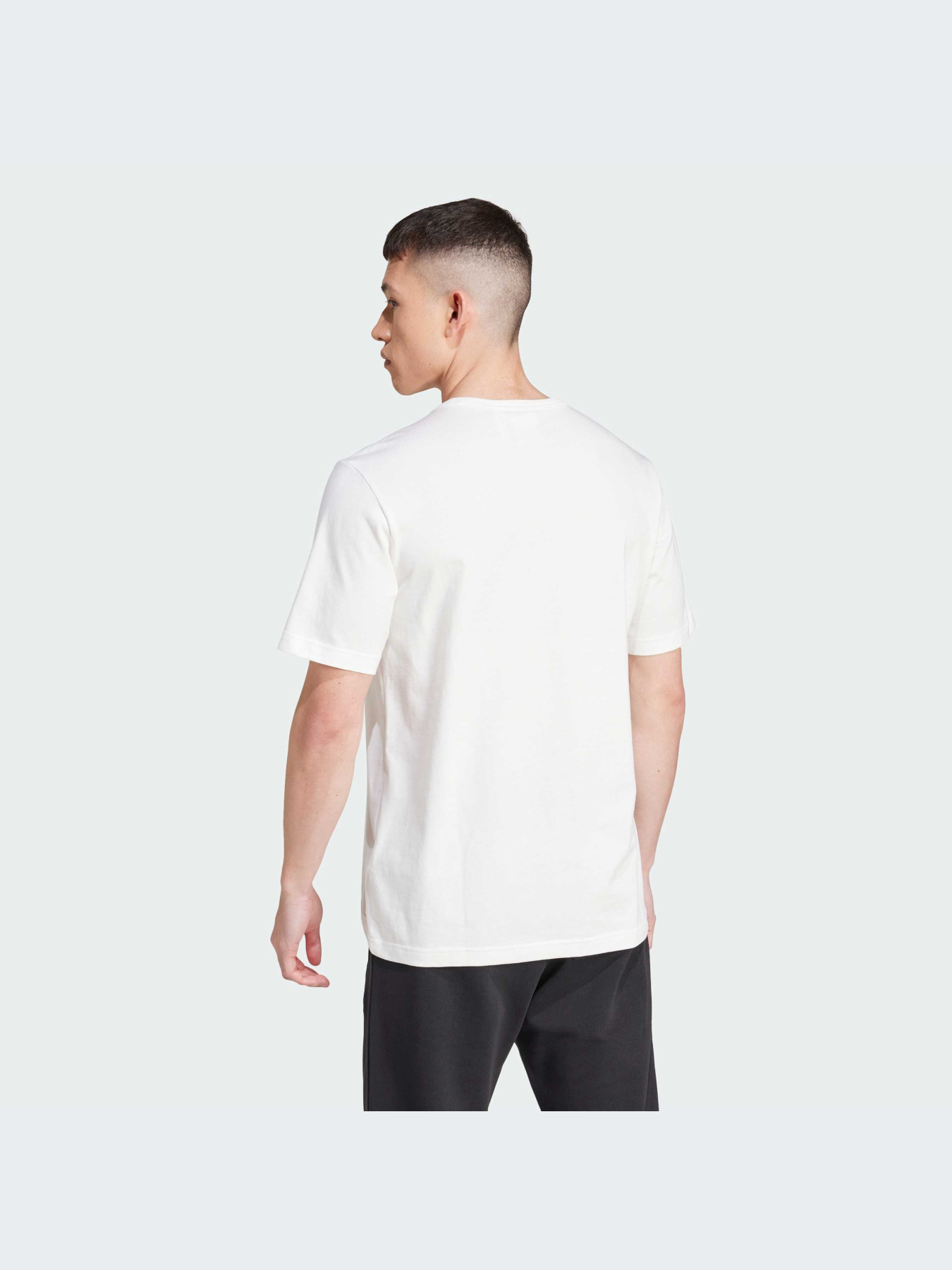 Футболка Adidas модель IW3237 Фото