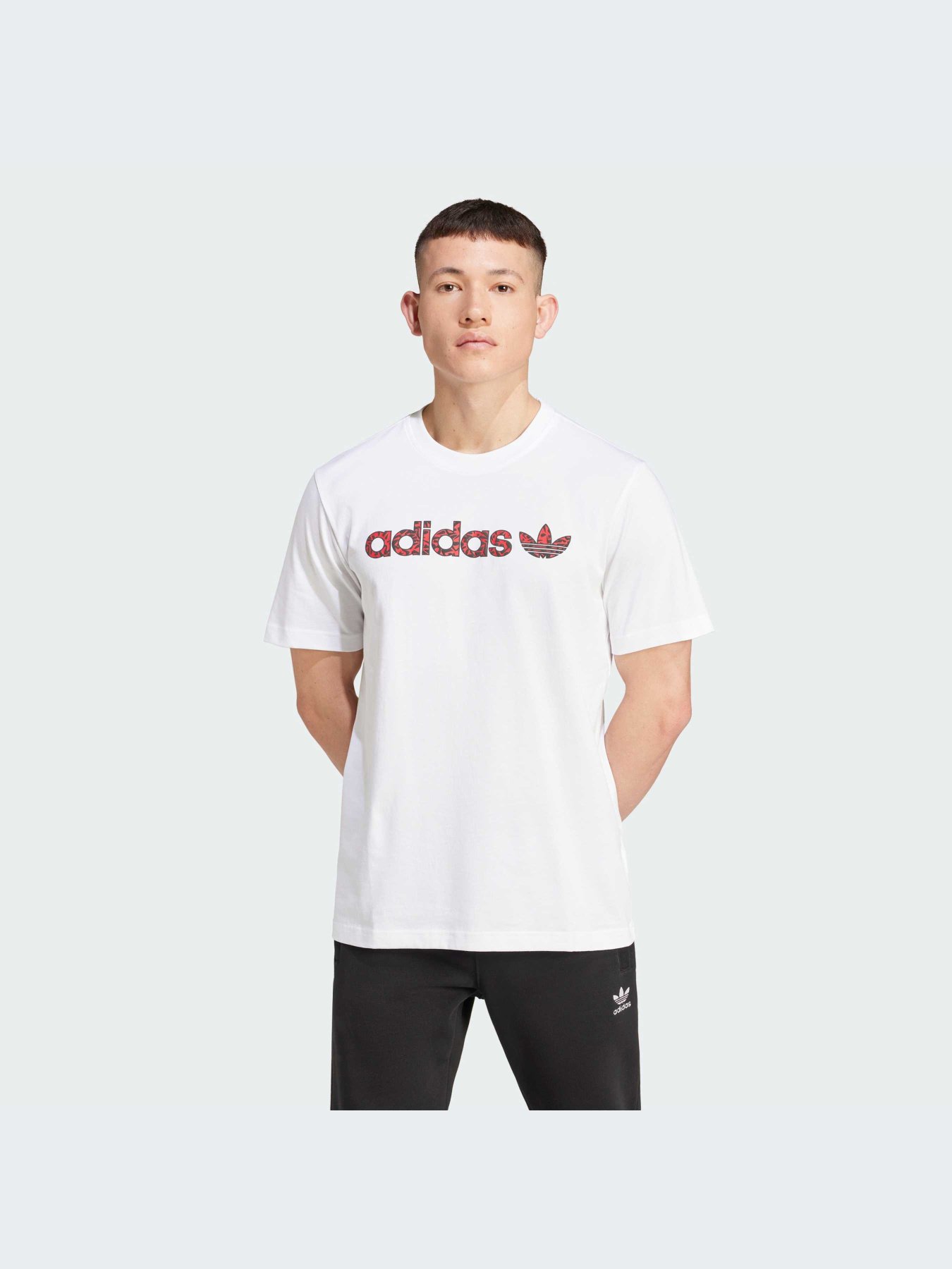 Футболка Adidas Graphics модель IX9652 Фото