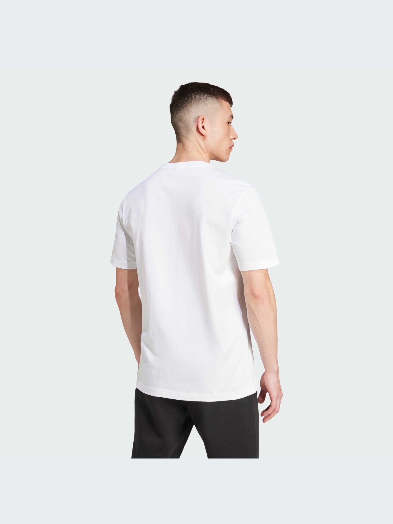 Футболка Adidas Graphics модель IX9652 Фото