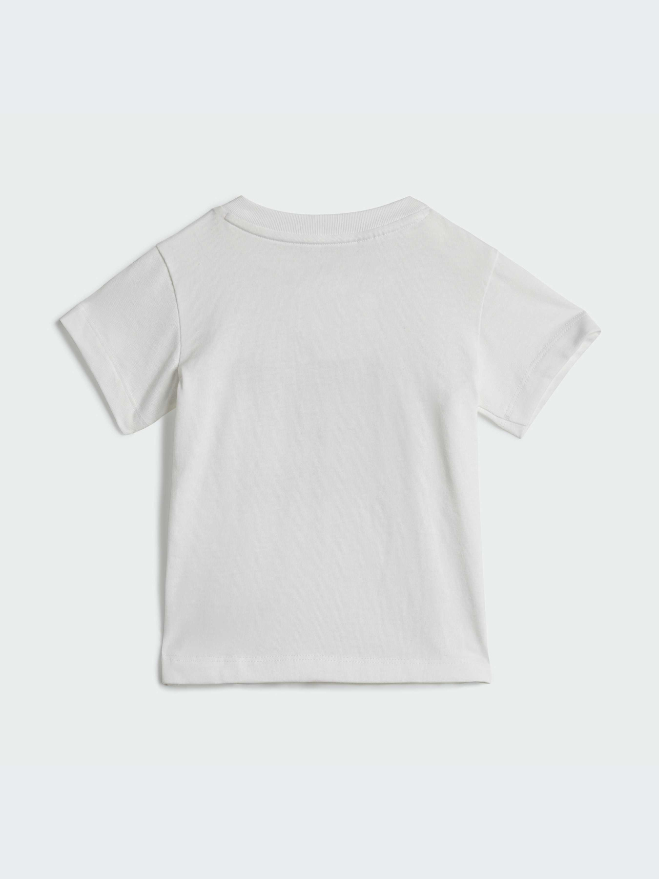 Спортивный костюм Adidas Adicolor модель JE0521 Фото