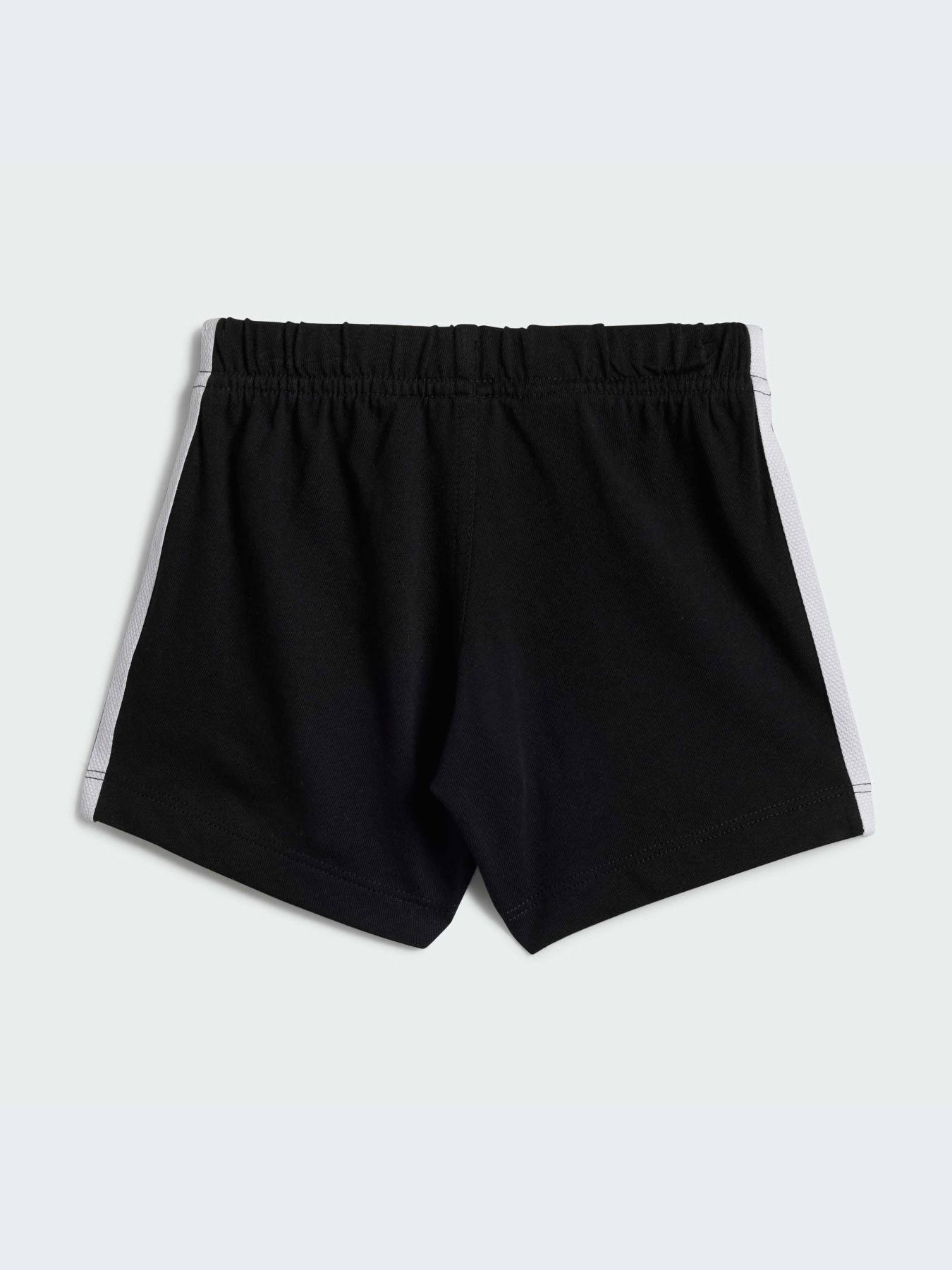 Спортивный костюм Adidas Adicolor модель JE0521 Фото