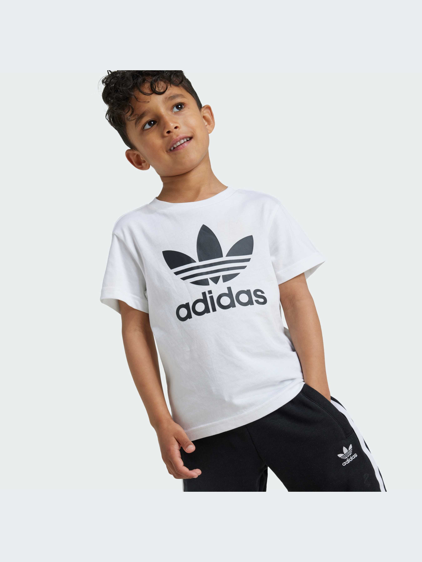 Костюм Adidas Adicolor модель JE1613 Фото