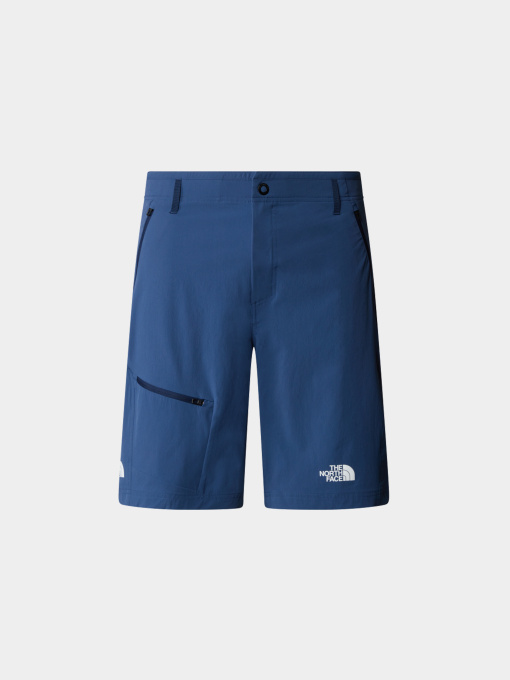 Шорты The North Face модель NF0A8269HDC1 Фото