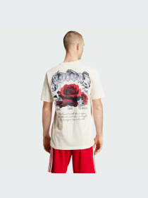 Футболка Adidas Graphics модель IZ2590 Фото