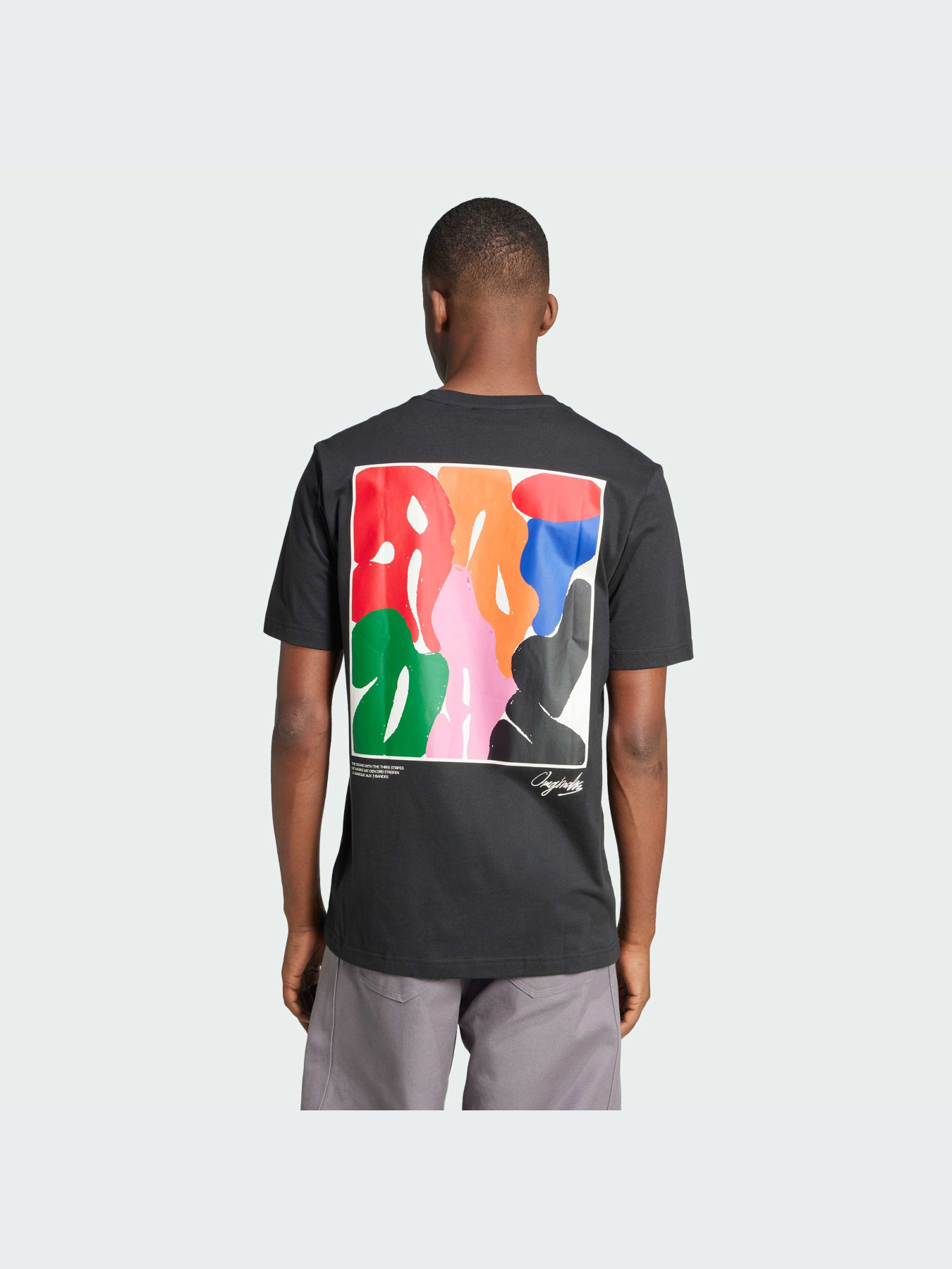 Футболка Adidas Graphics модель IX7820 Фото