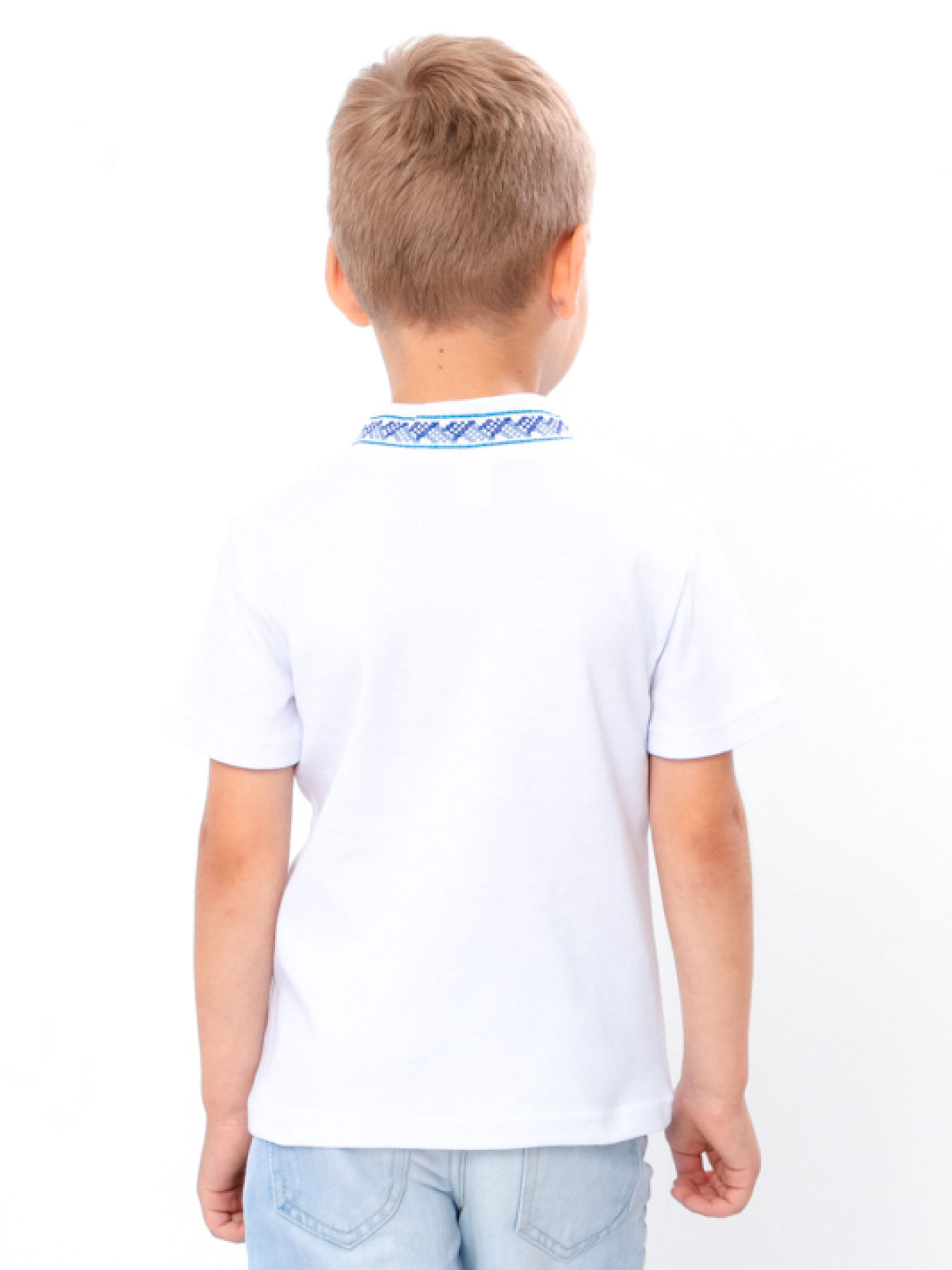 Вышитая рубашка Носи своє модель 6127-038-22-1-zhovto-blakitnij Фото