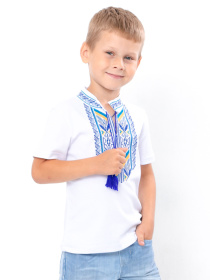 Вышитая рубашка Носи своє модель 6127-038-22-1-zhovto-blakitnij Фото