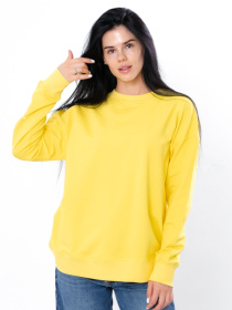 Свитшот Носи своє модель 3355-057-33-2-limon Фото