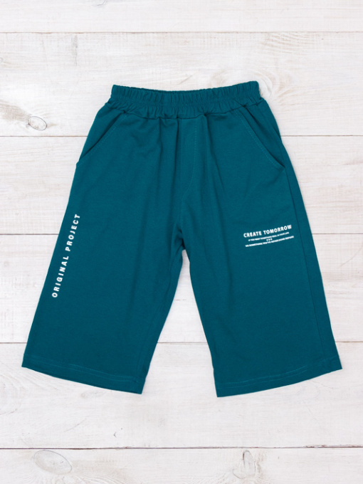 Повседневные шорты Носи своє модель 6208-001-33-smaragdovij Фото