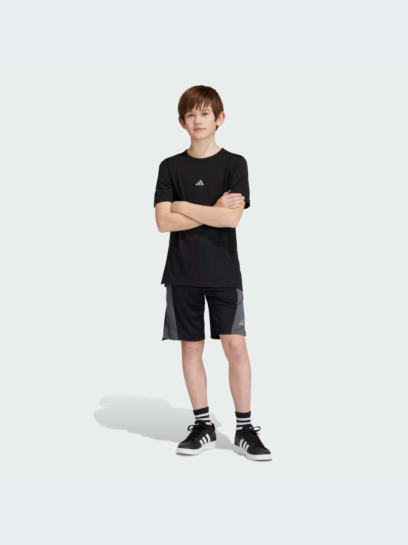 Шорти Adidas модель IR6227 Фото