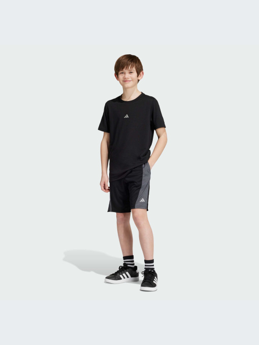 Шорты Adidas модель IR6227 Фото