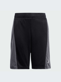 Повсякденні шорти Adidas модель IR6227 Повсякденні шорти Adidas модель IR6227 Фото