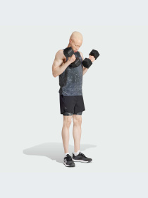 Спортивні шорти Adidas модель IK9683 Фото