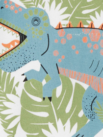 Пижама Carter’s модель 1P842710 Фото