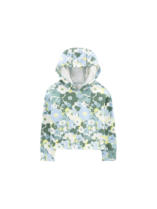 Худі Carter’s Модель 3P615610 Фото