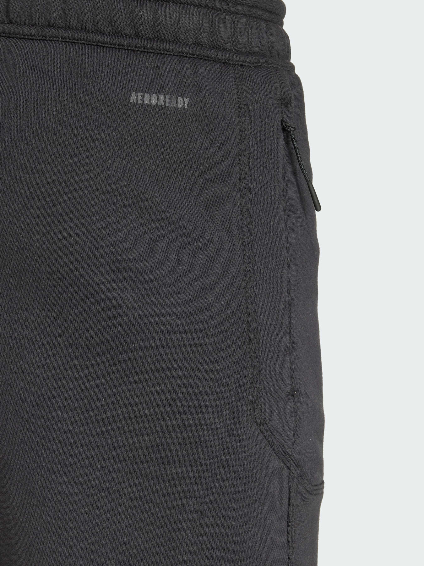 Шорты спортивные Adidas модель IX9113 Фото