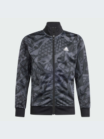 Спортивный костюм Adidas модель IQ4113 Фото