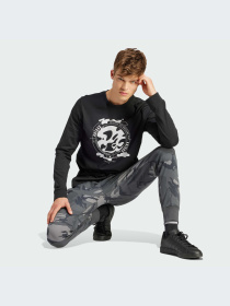 Штани повсякденні Adidas модель IS2023 Фото