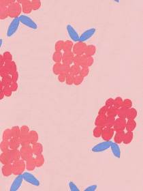 Піжама Carter’s модель 3M978310 Піжама Carter’s модель 3M978310 Фото