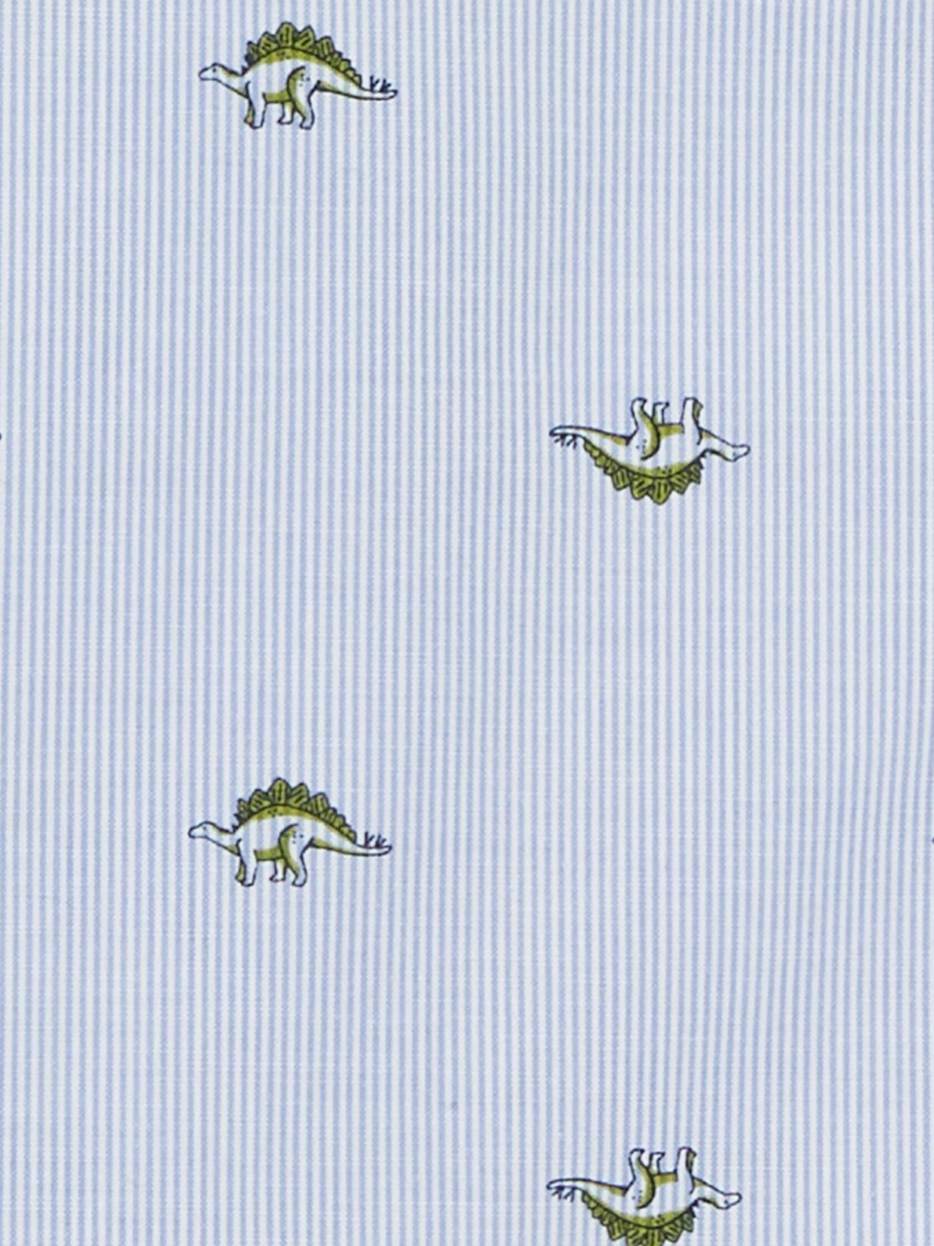 Сорочка Carter’s Модель 3P799910 Фото