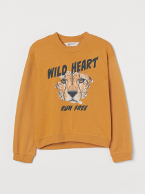 Світшот H&M модель 73753 Фото