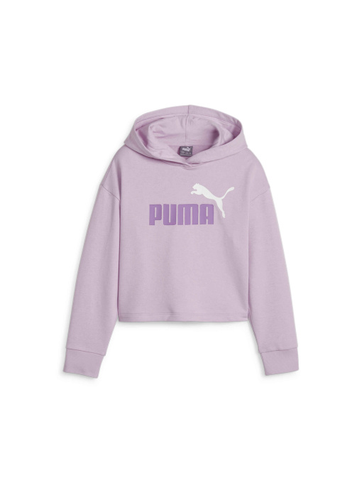 Худи PUMA Ess+ 2color Logo Hoodie модель 680993 Фото