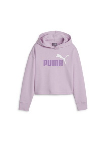 Худі PUMA Ess+ 2color Logo Hoodie модель 680993 Худі PUMA Ess+ 2color Logo Hoodie модель 680993 Фото