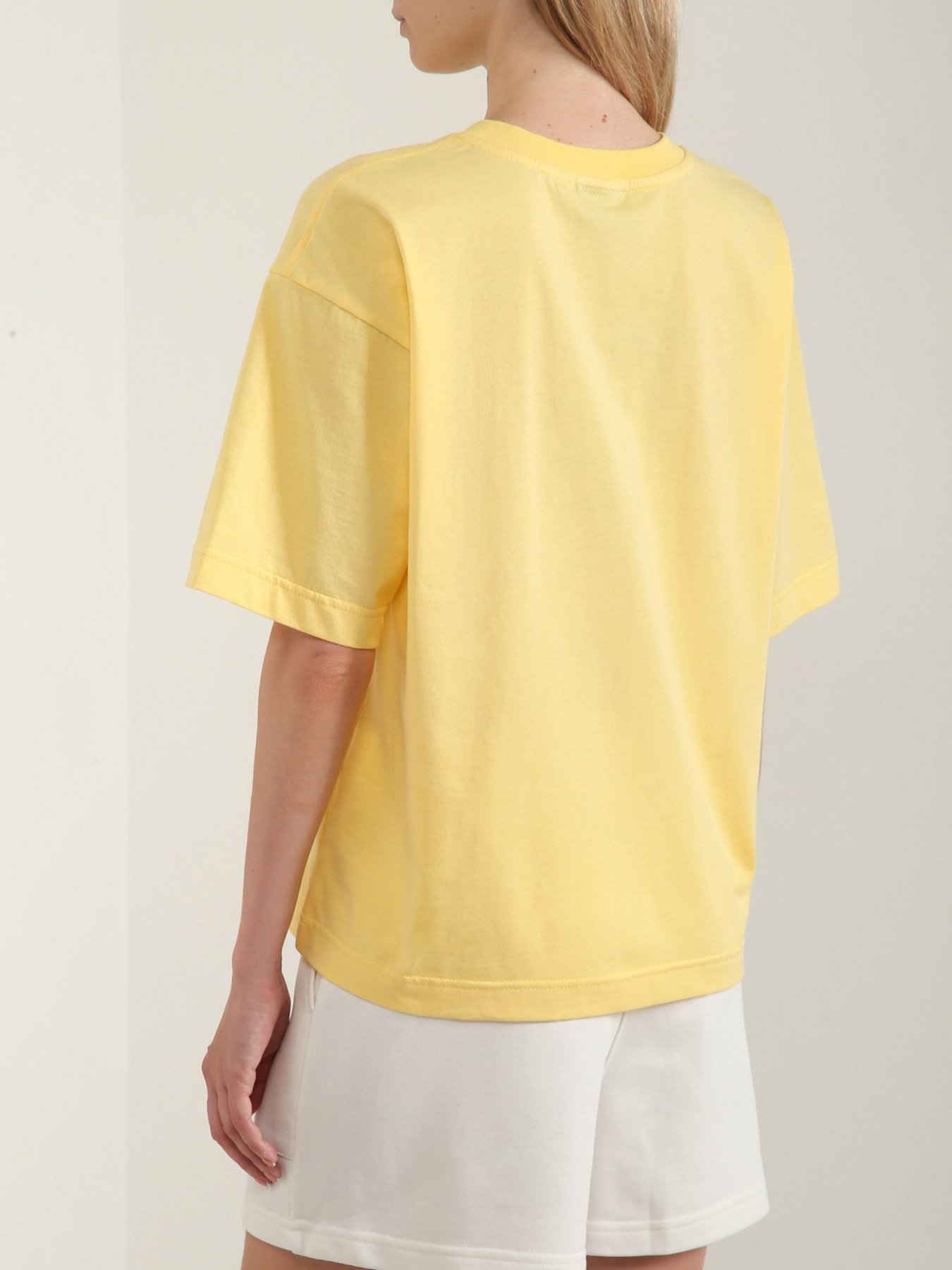 BASIX модель PLFD03FTSO24CP Фото