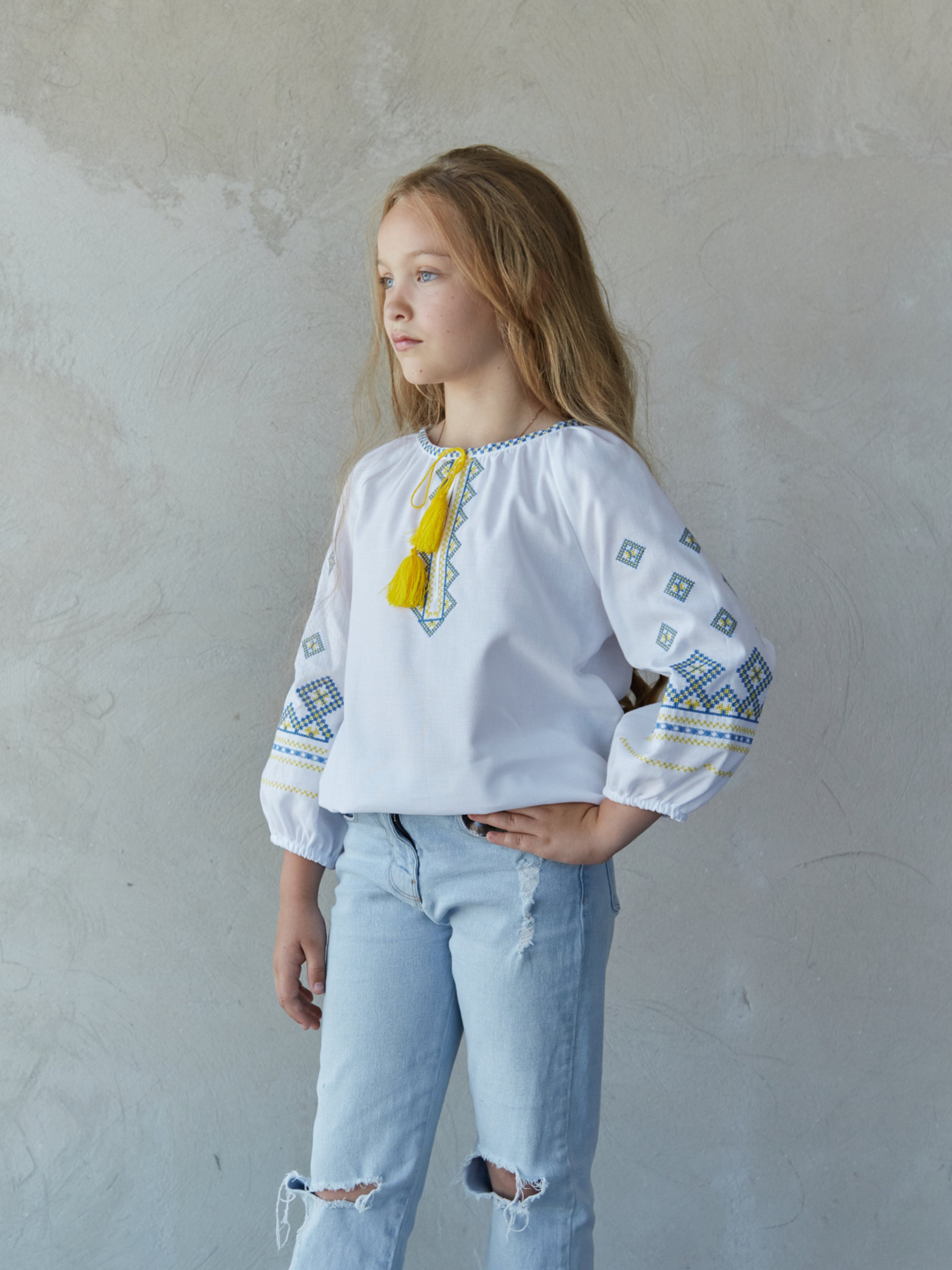 Вышитая рубашка Едельвіка модель 267-23-09 Фото