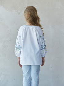 Вышитая рубашка Едельвіка модель 267-23-09 Фото