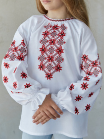 Вишита сорочка Едельвіка модель 265-23-09 Вишита сорочка Едельвіка модель 265-23-09 Фото