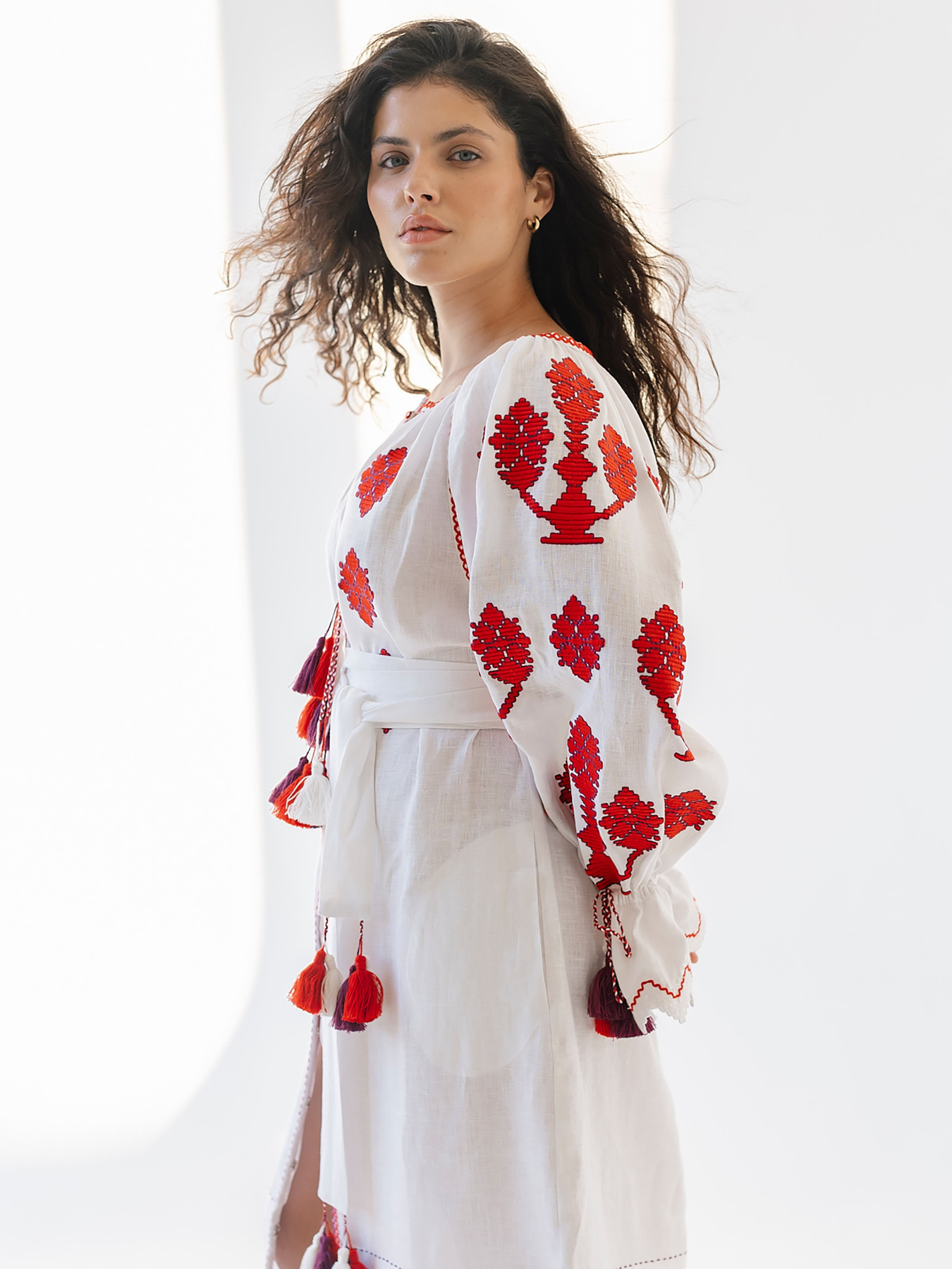 Вышитое платье Embroidered Gem модель 524163 Фото