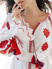 Вышитое платье Embroidered Gem модель 524163 Фото