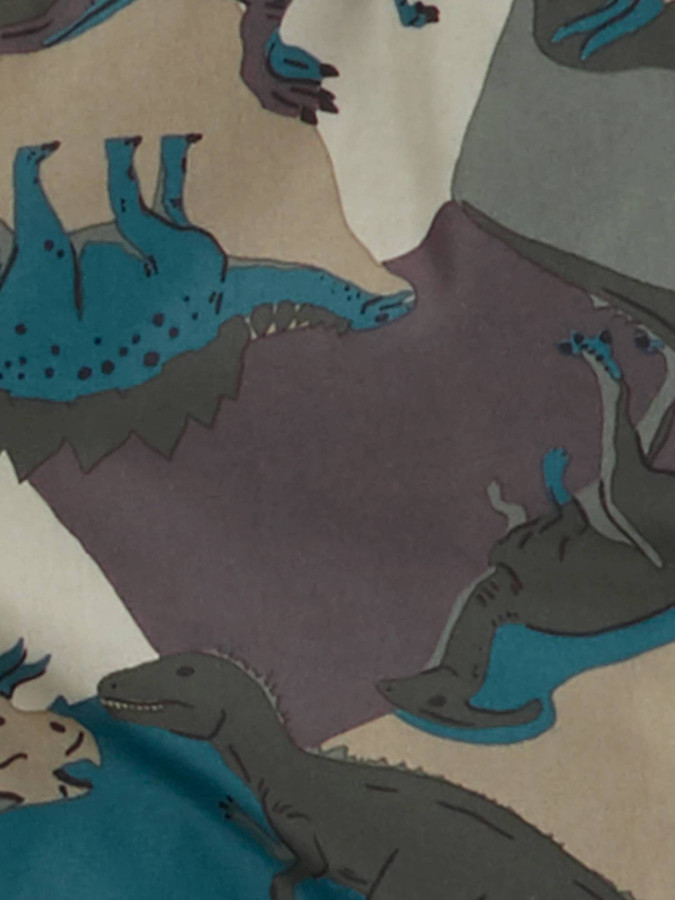 Комбінезон з утеплювачем Carter’s модель C2236S95 Фото