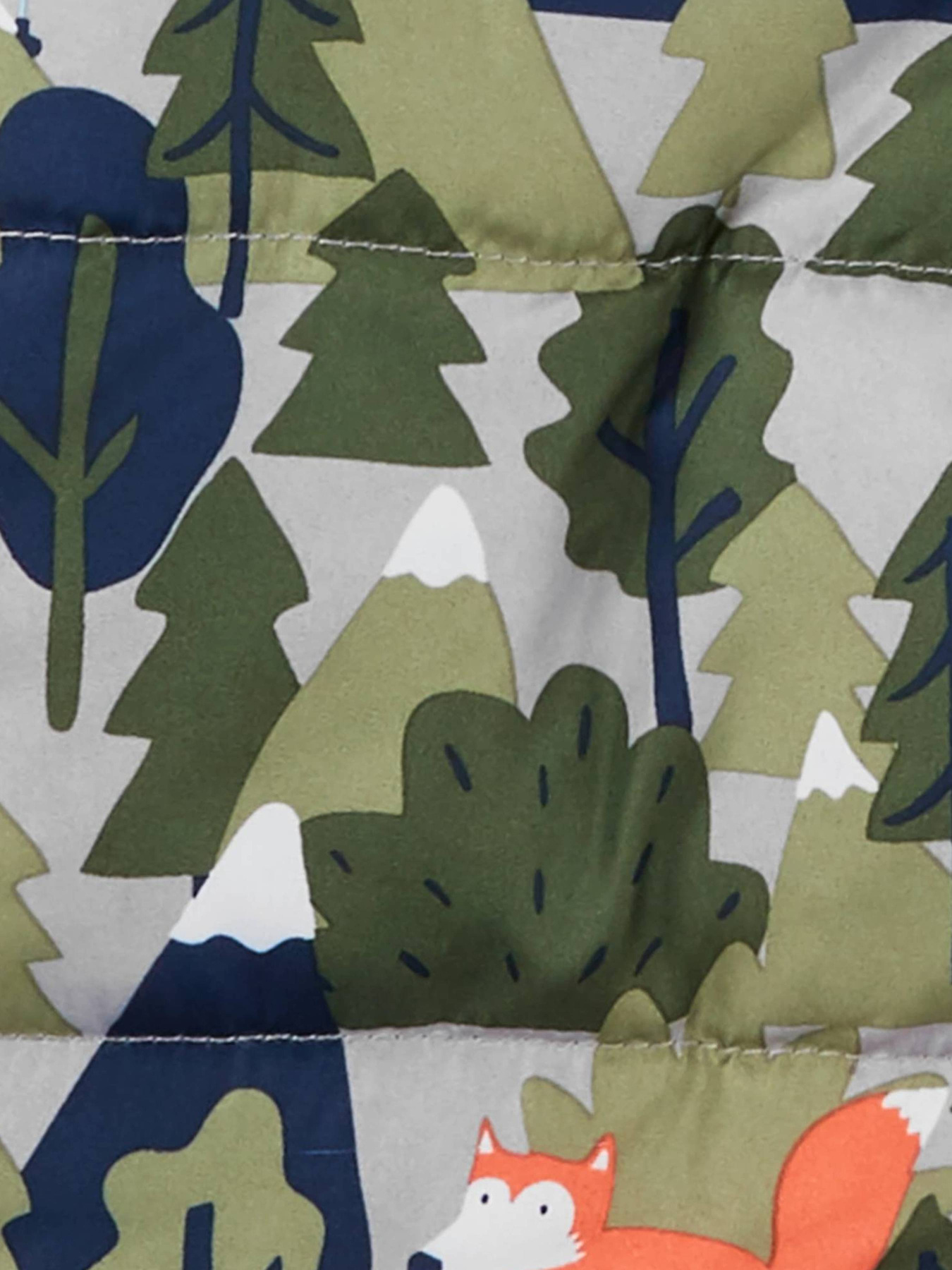 Комбінезон з утеплювачем Carter’s модель C223H93_1 Фото