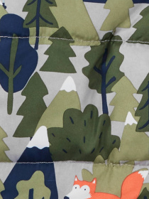 Комбінезон з утеплювачем Carter’s модель C223H93_1 Фото