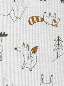 Комплект для младенцев Carter’s модель 1P812610 Фото