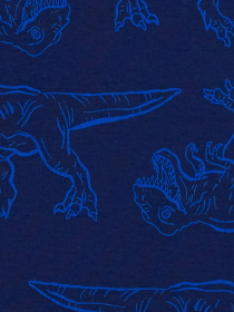 Пижама Carter’s модель 3Q511310 Фото