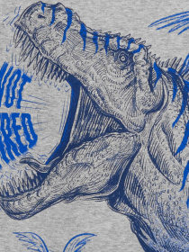 Пижама Carter’s модель 3Q511310 Фото