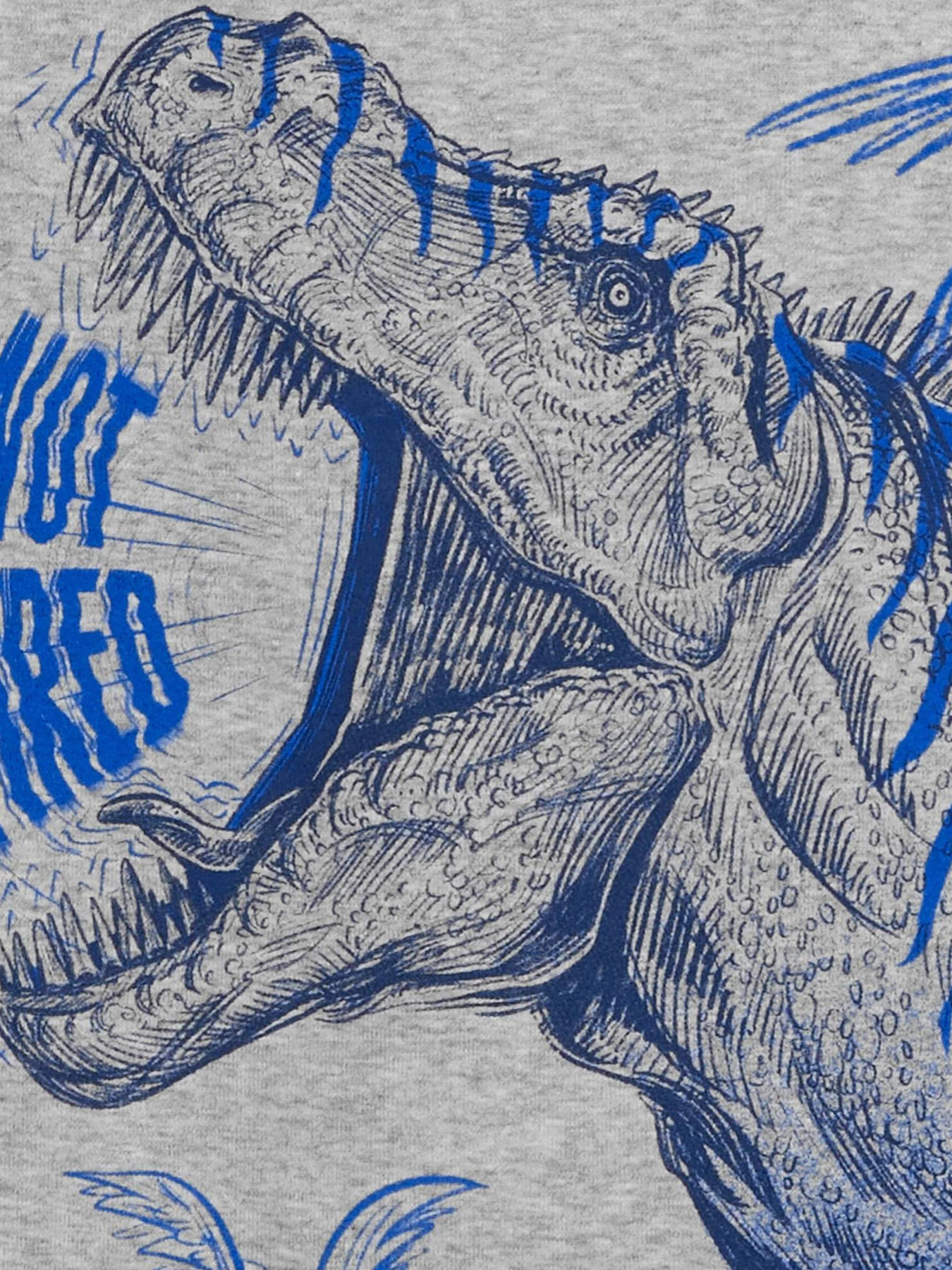 Піжама Carter’s модель 3Q511310 Фото