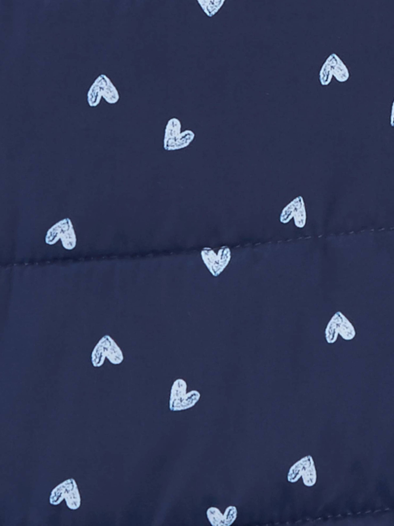 Демісезонна куртка Carter’s модель C223994 Демісезонна куртка Carter’s модель C223994 Фото