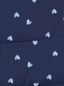 Демісезонна куртка Carter’s модель C223994 Демісезонна куртка Carter’s модель C223994 Фото