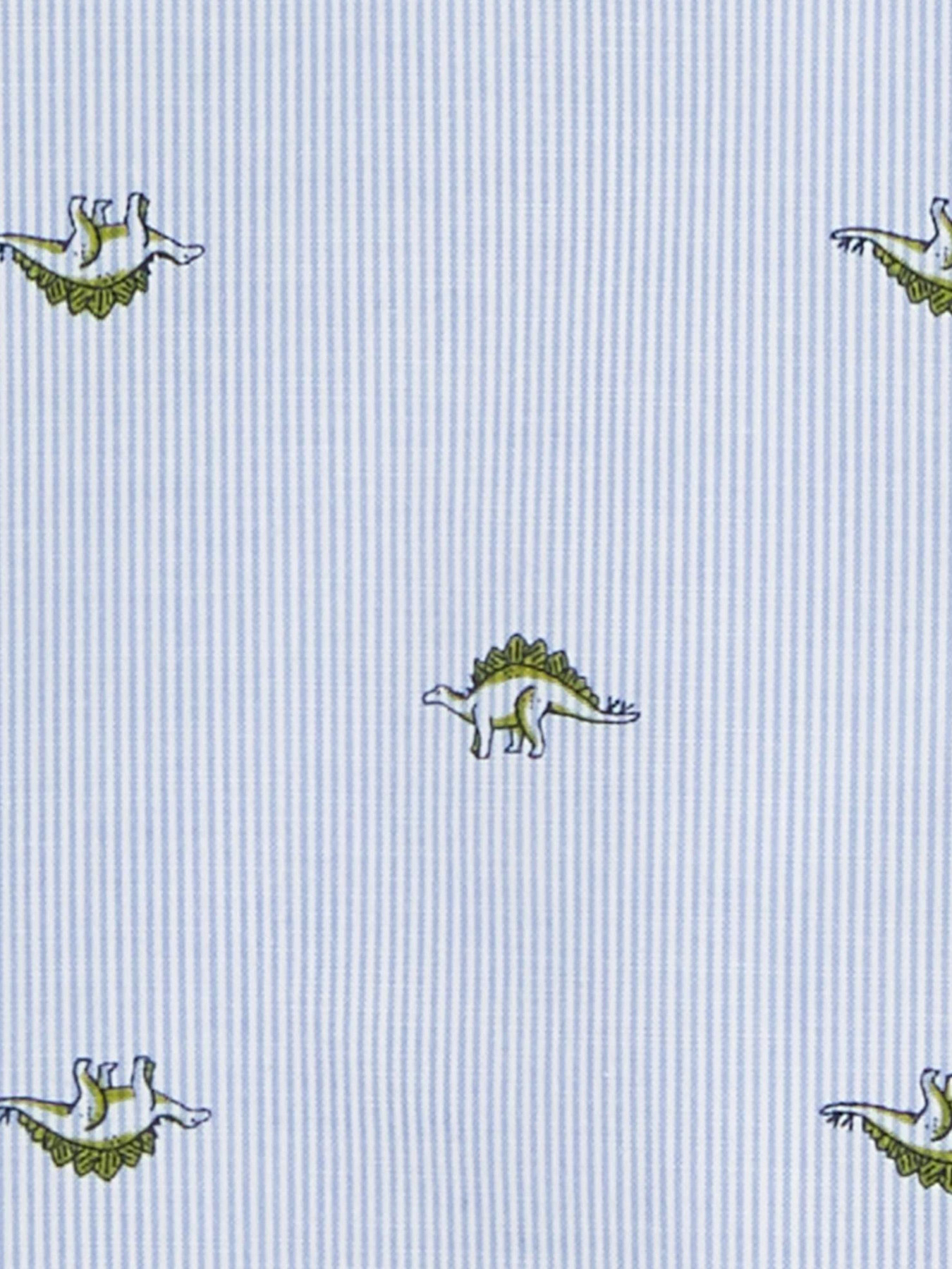 Сорочка Carter’s Модель 2P799910 Фото