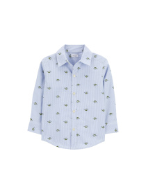 Сорочка Carter’s Модель 2P799910 Фото