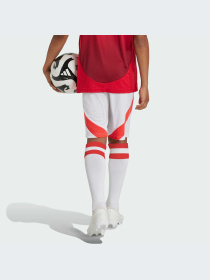 Спортивні шорти Adidas модель IT1975 Фото