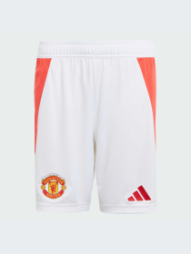 Спортивні шорти Adidas модель IT1975 Фото