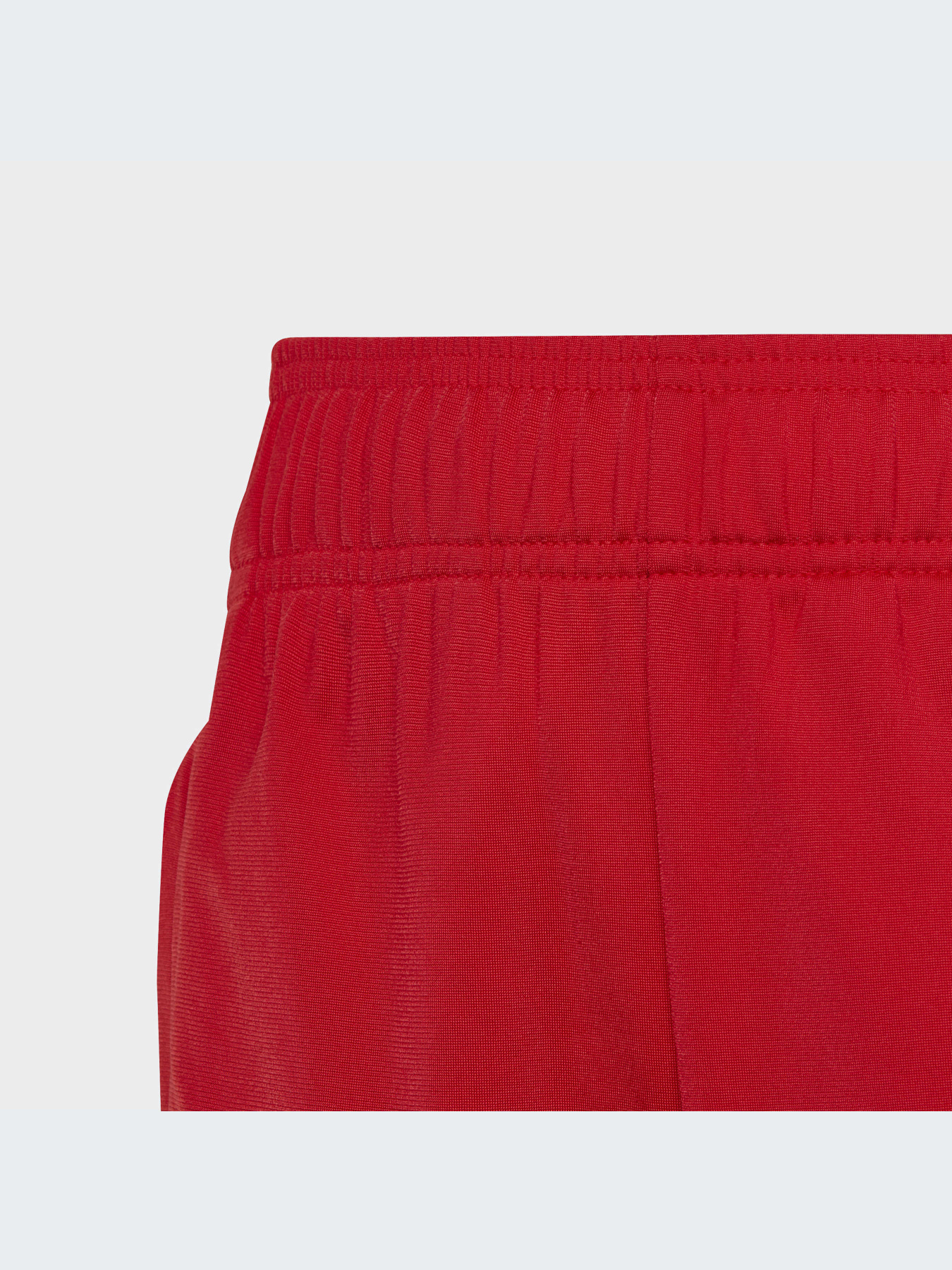 Джогери Adidas Adicolor модель IC3088 Фото