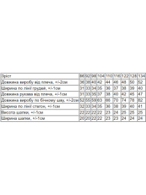 Повсякденний костюм Носи своє модель 6168-023-33-4-salatovij-strong Фото